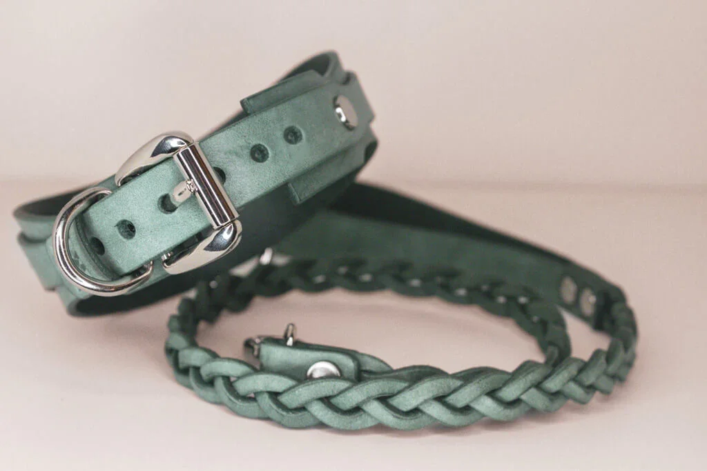 Lunar Collar + Leash in Yucca - Image 4