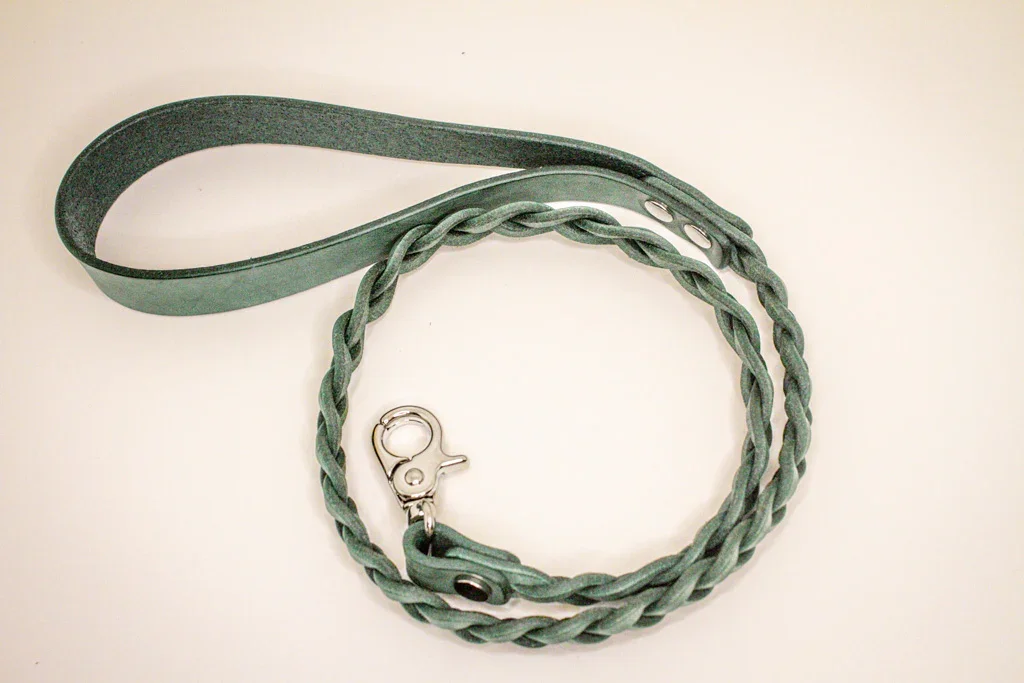 Lunar Collar + Leash in Yucca - Image 6
