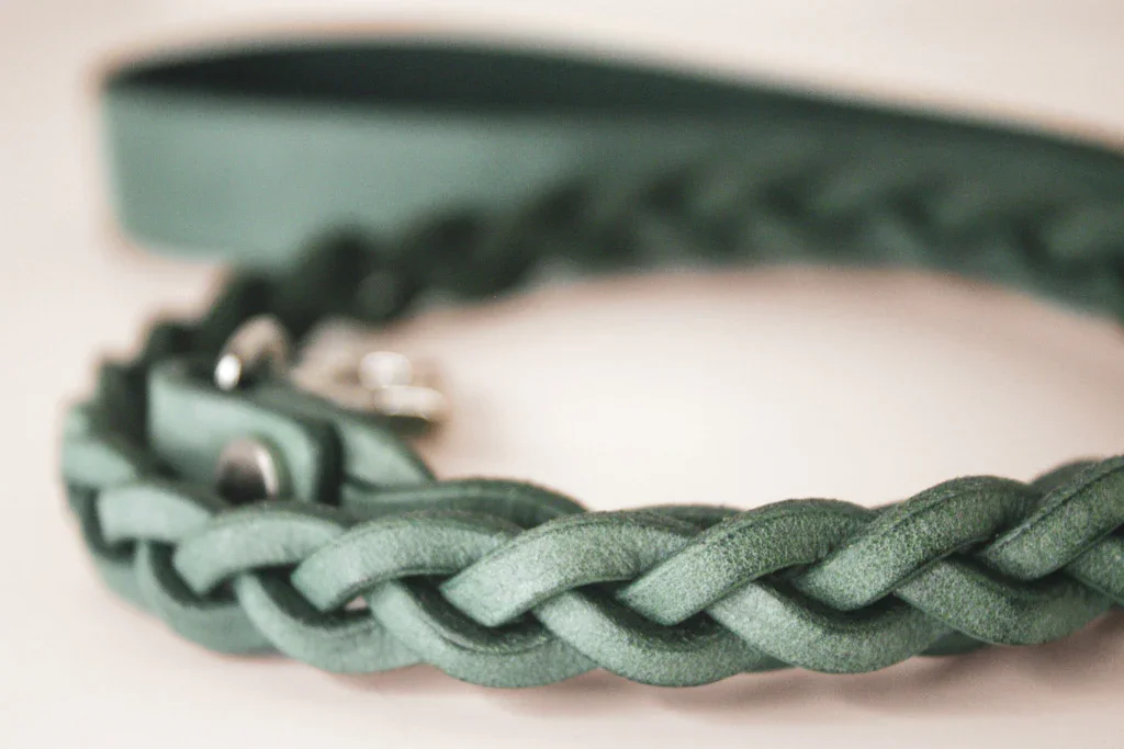 Lunar Collar + Leash in Yucca - Image 7