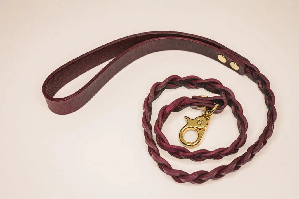Nova Collar + Leash in Bordeaux - Image 10