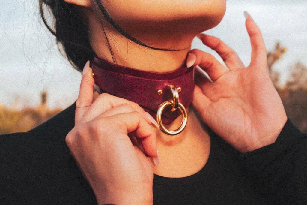 Nova Collar + Leash in Bordeaux - Image 3