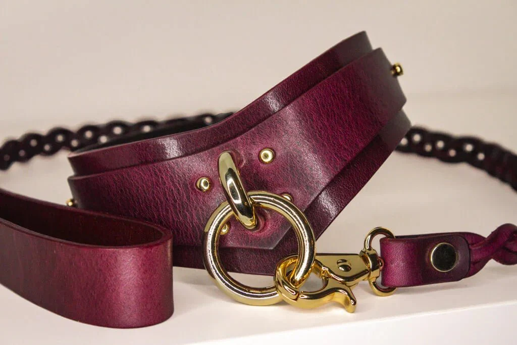 Nova Collar + Leash in Bordeaux - Image 5