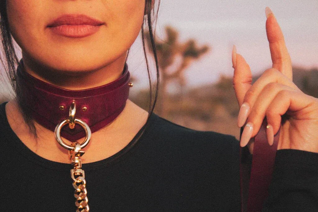 Nova Collar + Leash in Bordeaux - Image 7