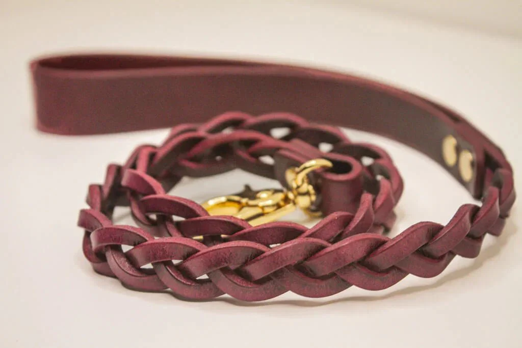 Nova Collar + Leash in Bordeaux - Image 9
